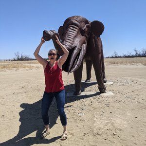Meet your Posher, Rachael